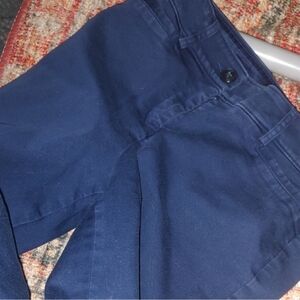 Express Pants Size 2R Navy Blue